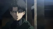 Levi Ackerman in uniform